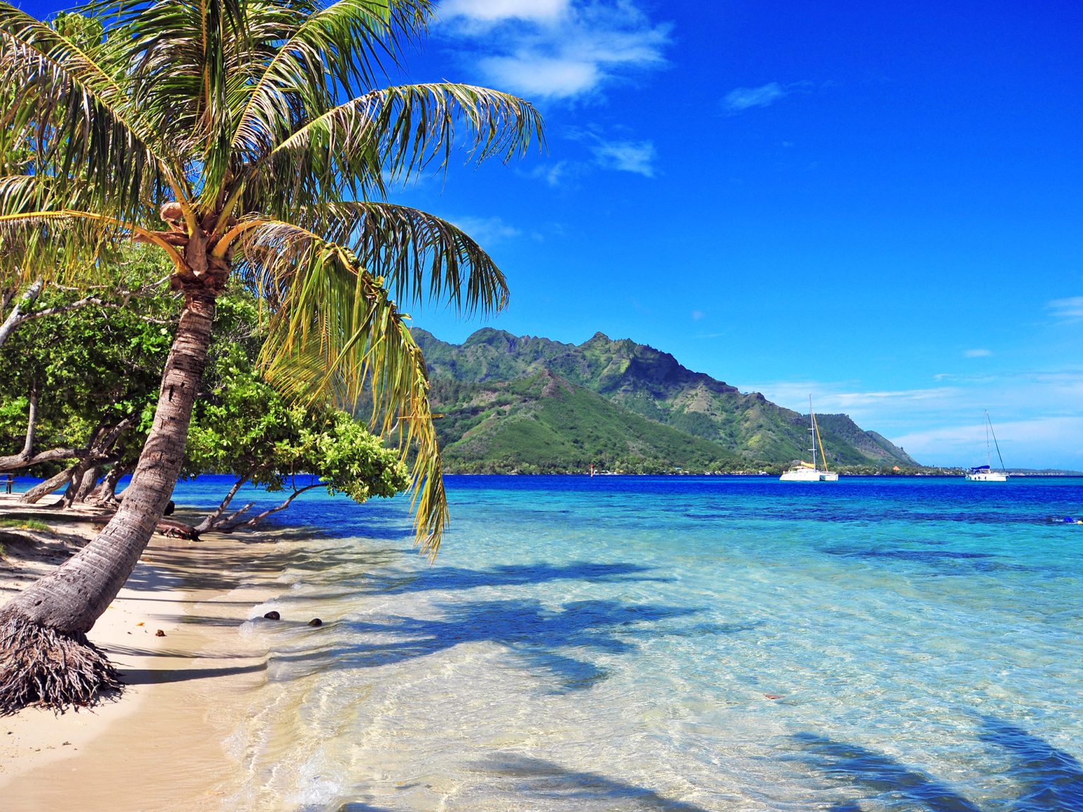 🌺 Offrez-vous une parenthèse tropicale au cœur de la Vendée avec l’Escale Évasion aux Îles Grenadines